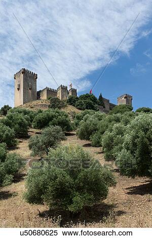 Spain: the Golden Triangle of Andalucia View Large Photo Image Stock Photography - Spain: the Golden Triangle of Andalucia. Fotosearch