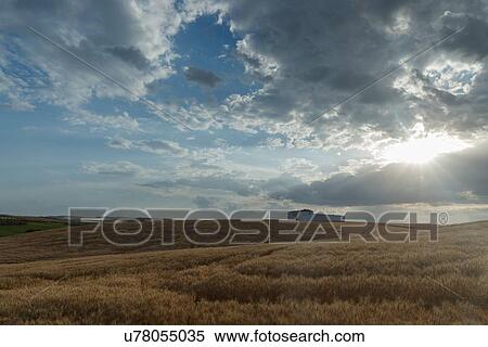Stock Photography - Spain: the Golden Triangle of Andalucia. Fotosearch