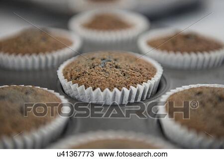 Stock Image - Close up of baked cup cakes in baking tray. Fotosearch