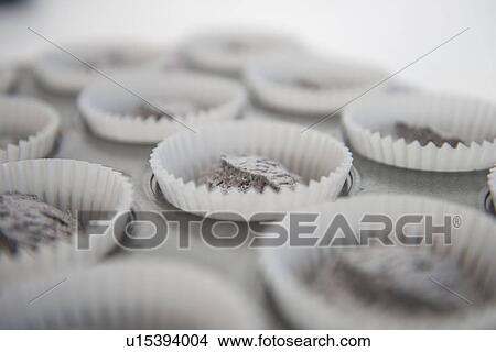 Picture - Close up of cup cake mixture in cake cases. Fotosearch