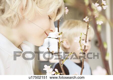 Close up of two brothers and blossom twigs in sitting room View Large Photo Image Stock Image - Close up of two brothers and blossom twigs in sitting room. Fotosearch