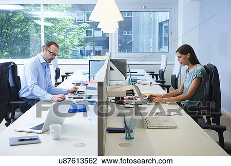 Stock Image - Colleagues working on either side of desk partition. Fotosearch