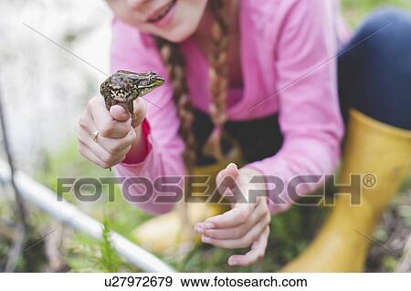 Cropped shot of girl holding up frog View Large Photo Image Stock Photo - Cropped shot of girl holding up frog. Fotosearch