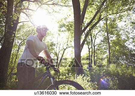 Cyclist in forest View Large Photo Image Stock Image - Cyclist in forest. Fotosearch