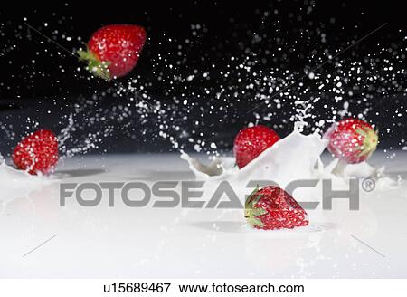 Stock Photo - Fresh strawberries dropping and splashing into milk. Fotosearch