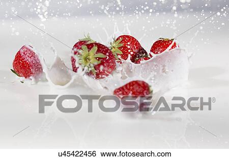 Stock Photograph - Fresh strawberries splashing into milk. Fotosearch