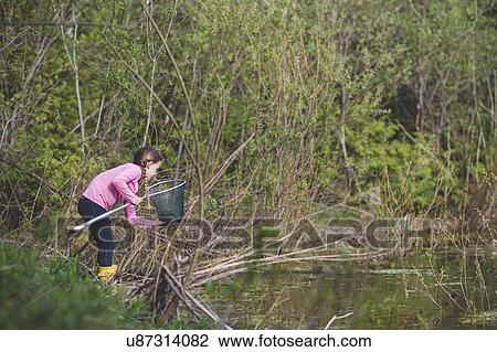 Stock Image - Girl retrieving frog from fishing net at pond. Fotosearch