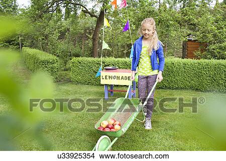 Picture - Lemonade stand girl carting apples away from her stand. Fotosearch