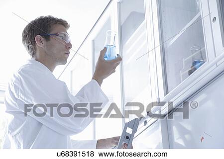 Male scientist scrutinizing erlenmeyer flask in lab View Large Photo Image Stock Photo - Male scientist scrutinizing erlenmeyer flask in lab. Fotosearch