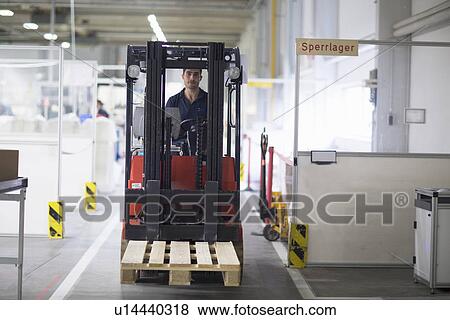 Mature man using forklift truck in factory View Large Photo Image Stock Photo - Mature man using forklift truck in factory. Fotosearch