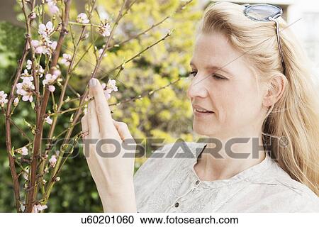 Stock Image - Mid adult woman looking at spring blossoms in garden. Fotosearch