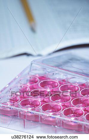 Multiwell dish containing cell culture medium (DMEM) with notebook and pencil View Large Photo Image Picture - Multiwell dish containing cell culture medium (DMEM) with notebook and pencil. Fotosearch