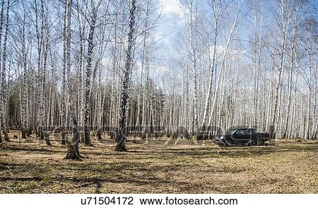 Off road vehicle parked in forest clearing View Large Photo Image Stock Image - Off road vehicle parked in forest clearing. Fotosearch