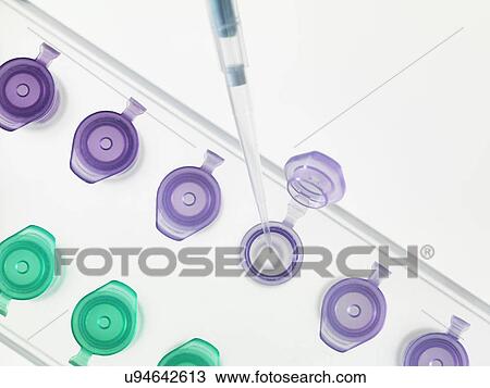 Overhead view of pipetting DNA sample into microcentrifuge tubes View Large Photo Image Stock Image - Overhead view of pipetting DNA sample into microcentrifuge tubes. Fotosearch