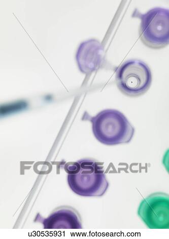 Pipetting DNA sample into microcentrifuge tubes View Large Photo Image Stock Image - Pipetting DNA sample into microcentrifuge tubes. Fotosearch