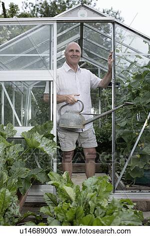 Portrait of senior man in his garden greenhouse with watering can View Large Photo Image Stock Image - Portrait of senior man in his garden greenhouse with watering can. Fotosearch