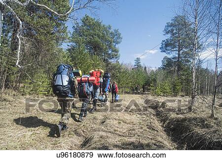 Rear view of young hikers with backpacks on forest track View Large Photo Image Stock Photo - Rear view of young hikers with backpacks on forest track. Fotosearch