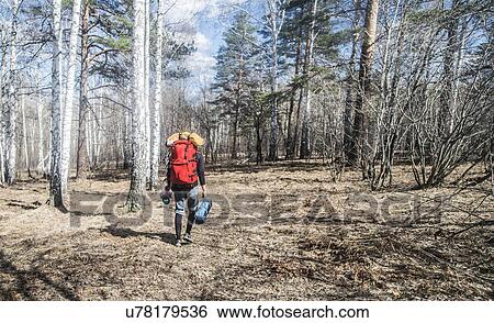Stock Photograph - Rear view of young male hiker with backpack in forest. Fotosearch