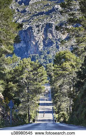 Road through mountains, Majorca, Spain View Large Photo Image Stock Photography - Road through mountains, Majorca, Spain. Fotosearch