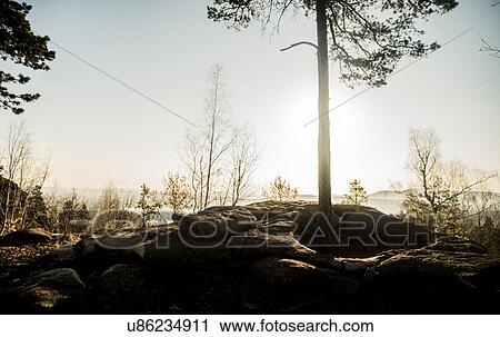 Rock formation and silhouetted tree View Large Photo Image Stock Image - Rock formation and silhouetted tree. Fotosearch