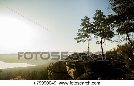 Silhouetted trees and view of distant lake View Large Photo Image Stock Photo - Silhouetted trees and view of distant lake. Fotosearch