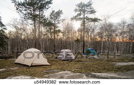 Three pitched tents in forest clearing View Large Photo Image Stock Image - Three pitched tents in forest clearing. Fotosearch