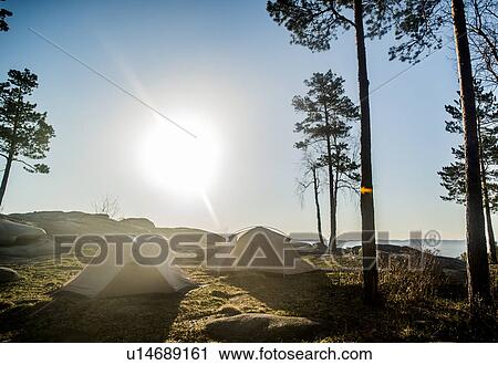 Two pitched tents and silhouetted trees in morning sun View Large Photo Image Stock Image - Two pitched tents and silhouetted trees in morning sun. Fotosearch