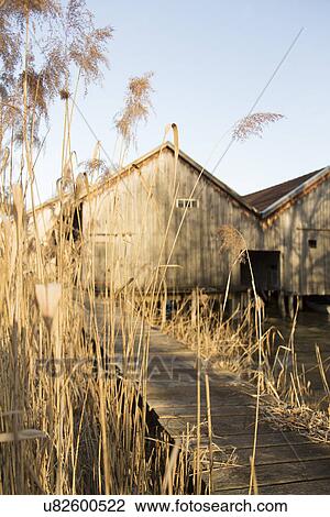 Water reeds with rustic wooden barn and walkway View Large Photo Image Stock Image - Water reeds with rustic wooden barn and walkway. Fotosearch