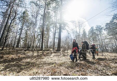 Young male and female adults with boy hiking in forest View Large Photo Image Stock Image - Young male and female adults with boy hiking in forest. Fotosearch