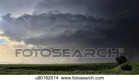 Picture - A striated wall cloud bends about the updraft base of this supercell thunderstorm over the Great Plains, Lexington, Nebraska, USA. Fotosearch
