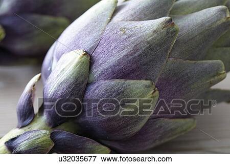 Artichoke, close-up View Large Photo Image Stock Photo - Artichoke, close-up. Fotosearch