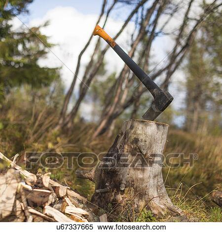 Axe stuck in tree stump View Large Photo Image Stock Photography - Axe stuck in tree stump. Fotosearch