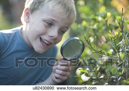 Stock Image - Boy discovering plants with magnifying glass in garden. Fotosearch