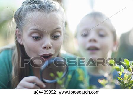 Brother and sister looking at plants with magnifying glass in garden View Large Photo Image Stock Image - Brother and sister looking at plants with magnifying glass in garden. Fotosearch
