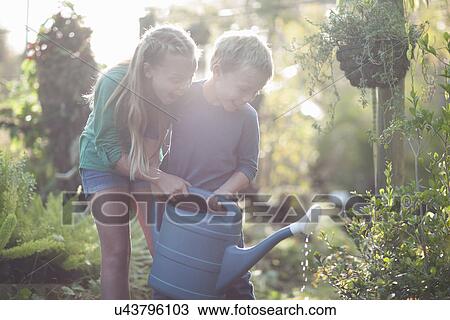 Stock Image - Brother and sister watering plants on allotment. Fotosearch
