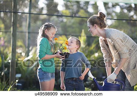 Brother and sisters smelling plants on allotment View Large Photo Image Stock Photo - Brother and sisters smelling plants on allotment. Fotosearch