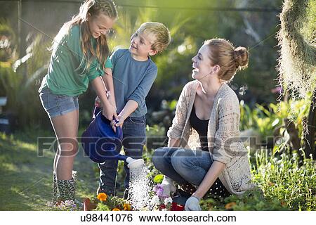 Brother and sisters watering plants on allotment View Large Photo Image Stock Photograph - Brother and sisters watering plants on allotment. Fotosearch