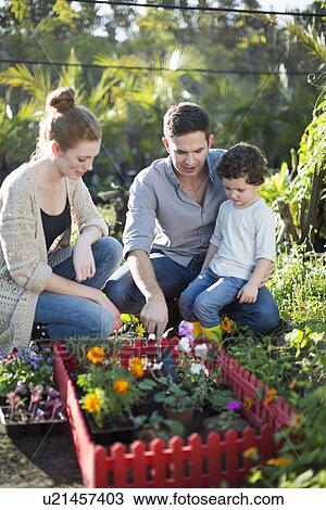 Stock Image - Couple and son with miniature garden on allotment. Fotosearch