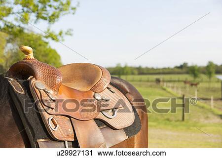Stock Image - Details of horse saddle. Fotosearch