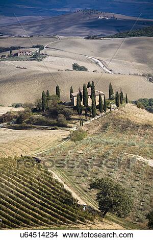 Distant view of farmhouse in agricultural landscape, Siena, Valle D'Orcia, Tuscany, Italy View Large Photo Image Picture - Distant view of farmhouse in agricultural landscape, Siena, Valle D'Orcia, Tuscany, Italy. Fotosearch