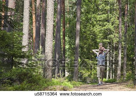 Father shoulder carrying toddler son through forest, Somerniemi, Finland View Large Photo Image Picture - Father shoulder carrying toddler son through forest, Somerniemi, Finland. Fotosearch