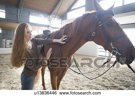 Stock Photograph - Female horseback rider grooming horse in indoor paddock. Fotosearch