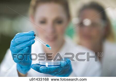Stock Photo - Female scientists holding up petri dish and pipette with blue liquid. Fotosearch