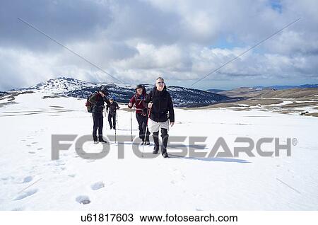 Four men hiking in snow, Bucegi Mountains, Transylvania, Romania View Large Photo Image Stock Image - Four men hiking in snow, Bucegi Mountains, Transylvania, Romania. Fotosearch