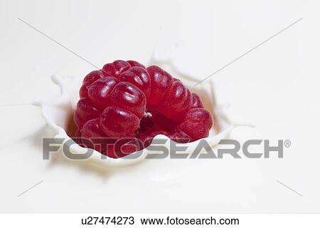 Fresh raspberry splashing onto milk surface View Large Photo Image Stock Image - Fresh raspberry splashing onto milk surface. Fotosearch
