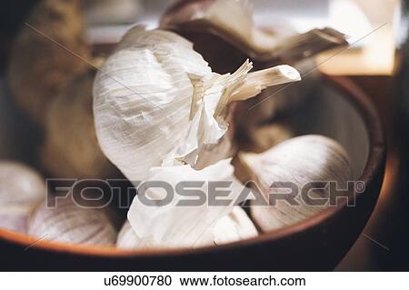 Garlic bulbs in bowl View Large Photo Image Stock Image - Garlic bulbs in bowl. Fotosearch