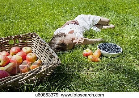 Girl asleep on grass with basket of apples and pears View Large Photo Image Stock Photo - Girl asleep on grass with basket of apples and pears. Fotosearch