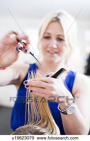 Hairdresser cutting customer's hair View Large Photo Image Stock Photo - Hairdresser cutting customer's hair. Fotosearch