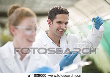 Male and female scientists looking at plant sample in test tube View Large Photo Image Stock Image - Male and female scientists looking at plant sample in test tube. Fotosearch