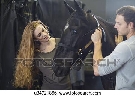 Male and female stablehands adjusting halter on horse in stables View Large Photo Image Stock Photograph - Male and female stablehands adjusting halter on horse in stables. Fotosearch
